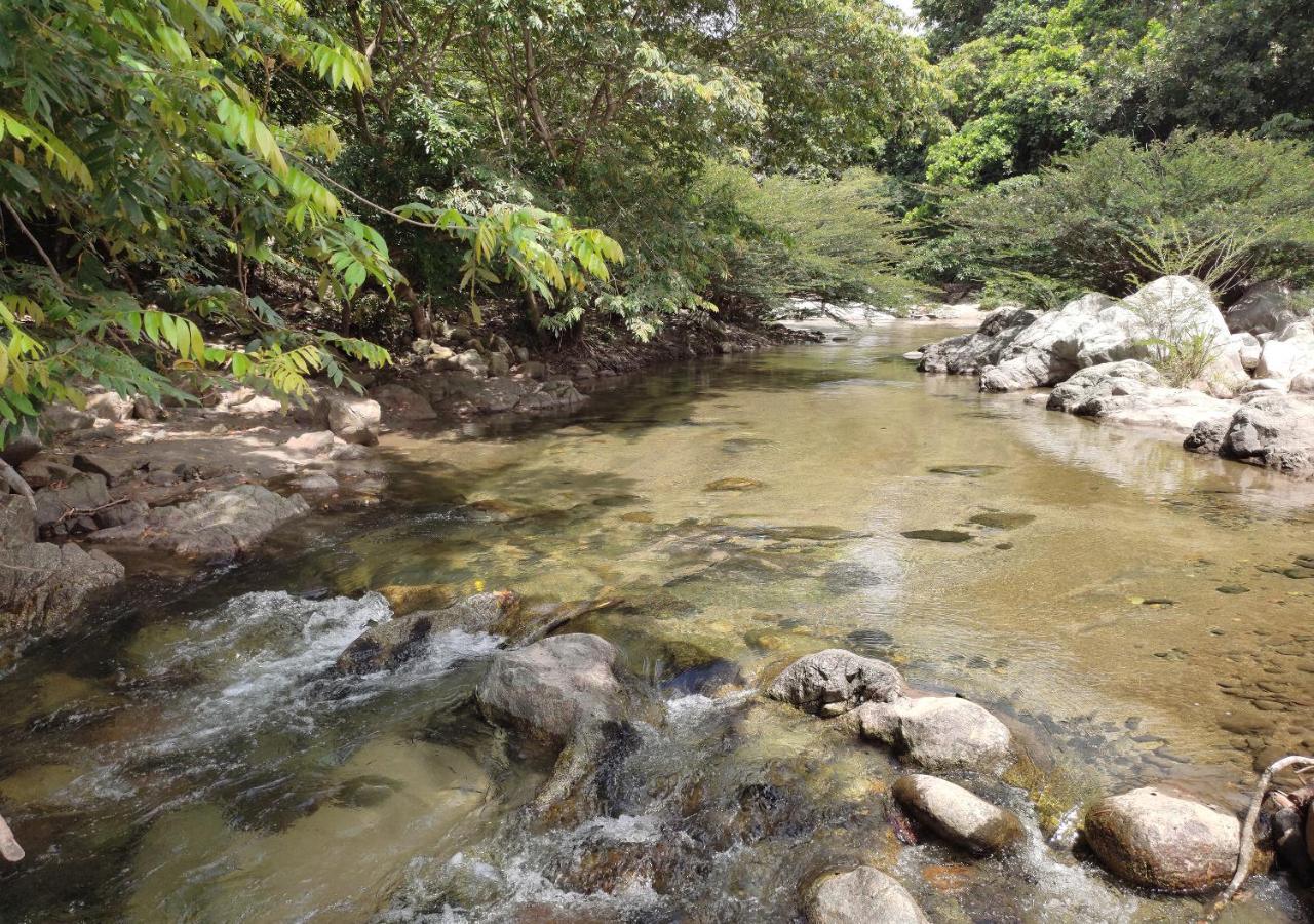Hotel Manakin Tayrona El Zaino Eksteriør bilde